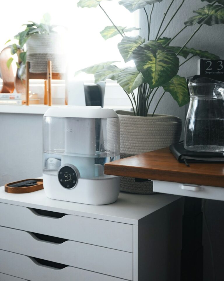 Humidifier vs Dehumidifier: The Ultimate Home Air Guide